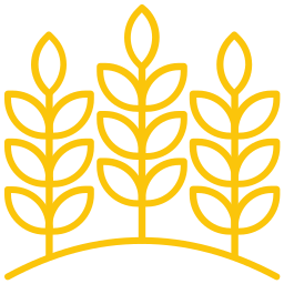harvest