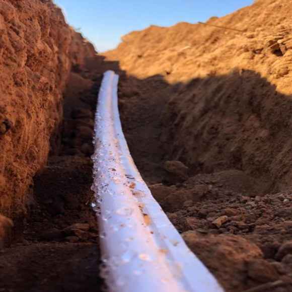 plant centered subsurface irrigation